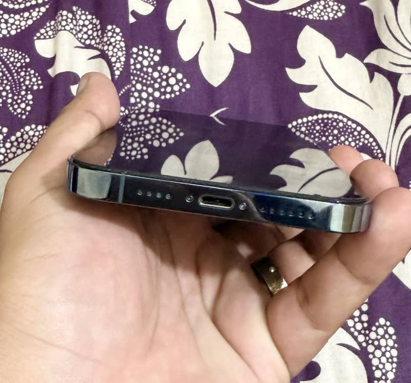 Apple iPhone 13 Pro Max 1