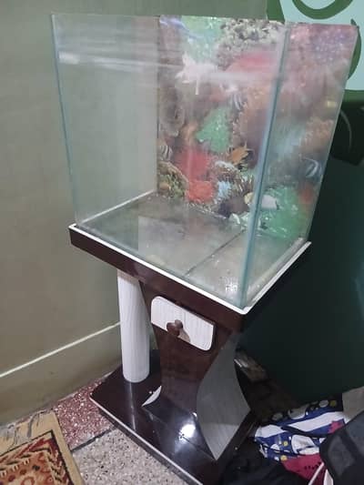 fish Aquarium