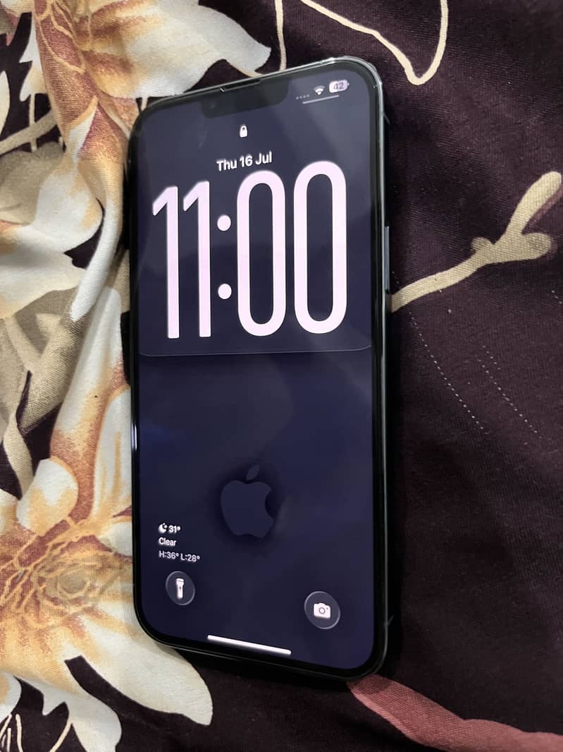 Apple iPhone 13 Pro Max 1