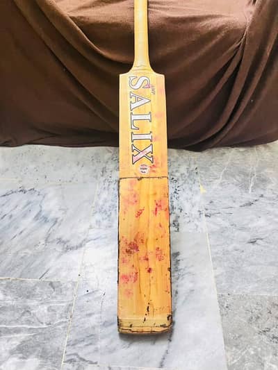 Hardball bat