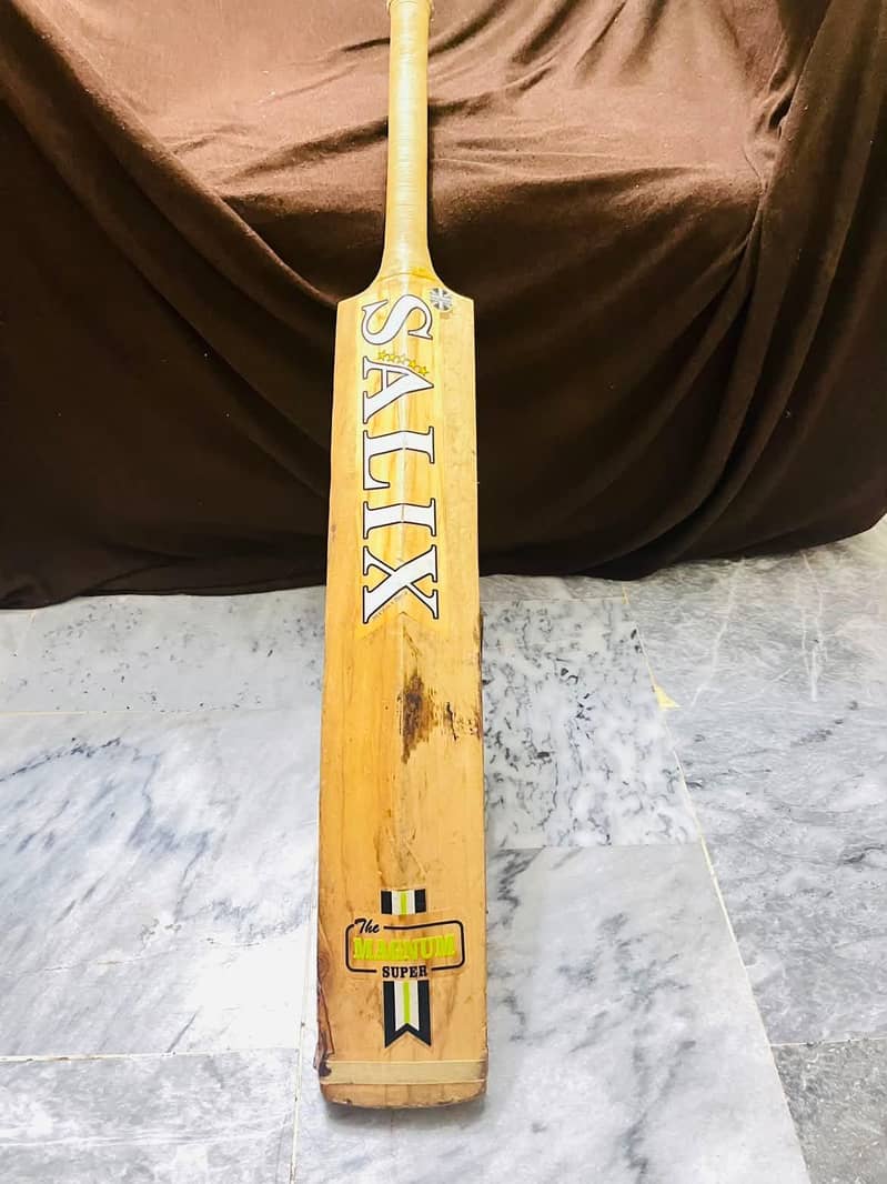 Hardball bat 2