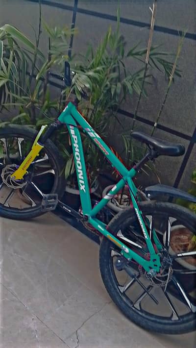 Cycle