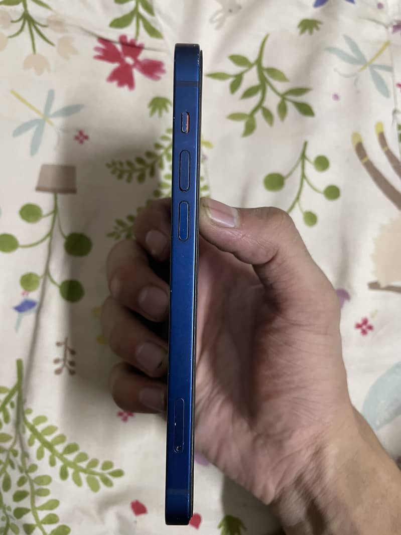 Apple iPhone 12 1