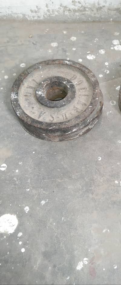 1kg weight plates 03188625510