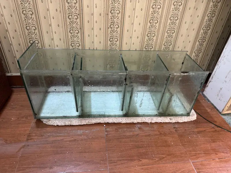 Aquarium — photo 2