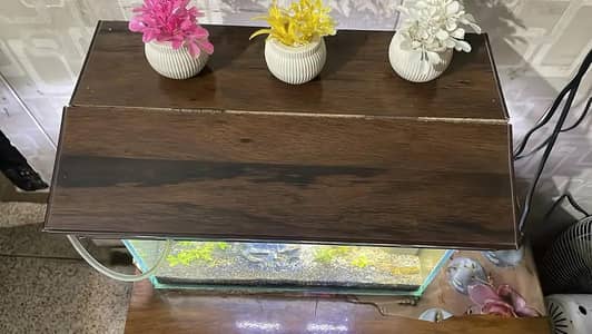 1.5 Ft Glass Aquarium with Sand and filter