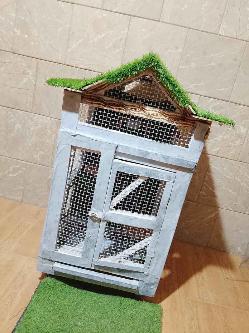 birds 6