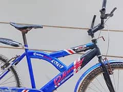 12 SPRINGS Active Power 60 Classic Bicycle For sale.