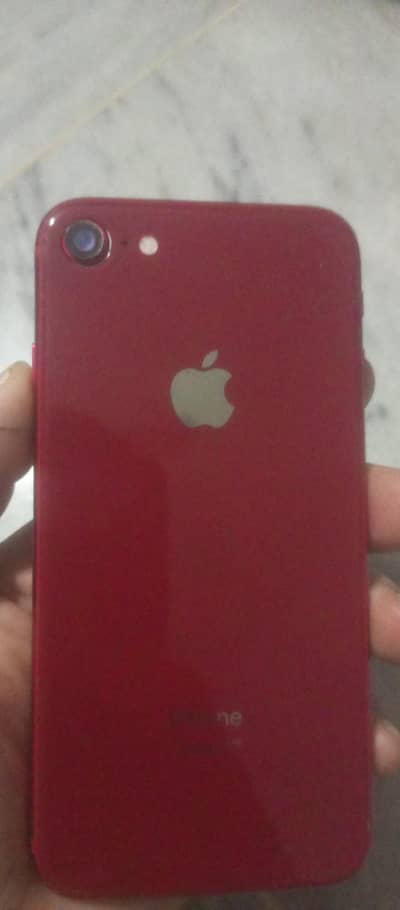 Apple iPhone 8 only series bayer contact Karen