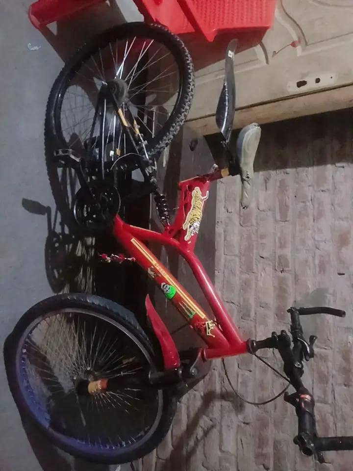 cycle 0