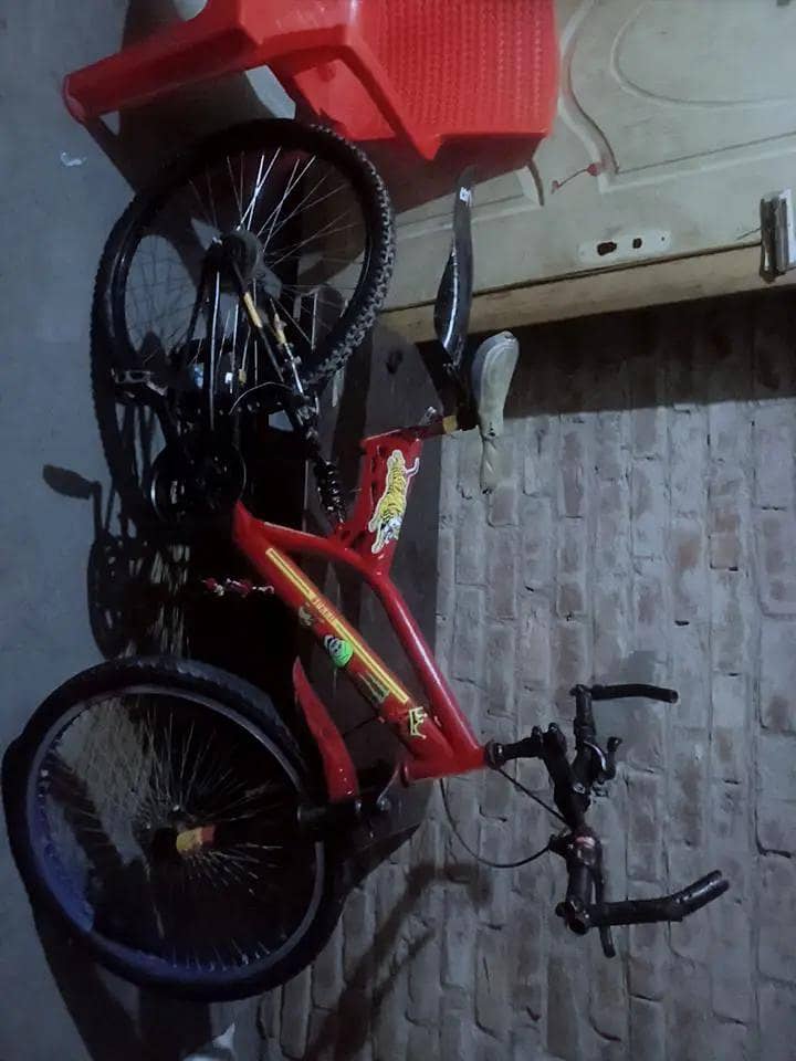 cycle 2