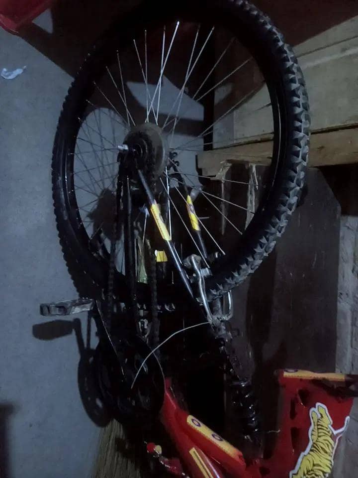 cycle 3