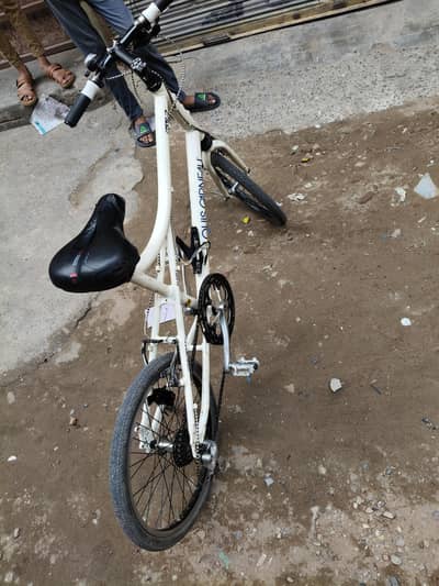 Candia bicycle