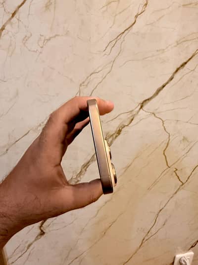 Apple iPhone 16 Pro Max 256gb Physical dual sim 91% health PTA approve