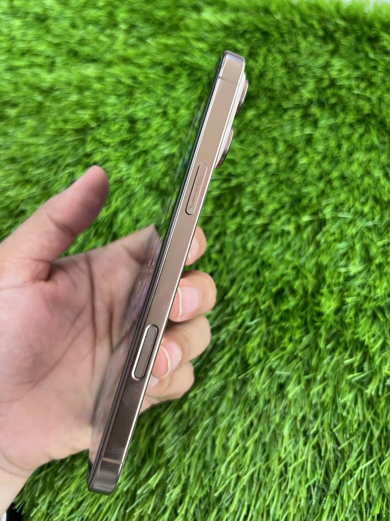Apple iPhone 16 Pro Max 1