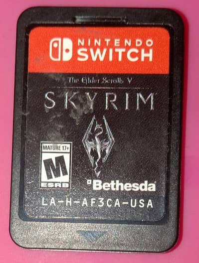 The Elder Scrolls V: Skyrim for Nintendo Switch