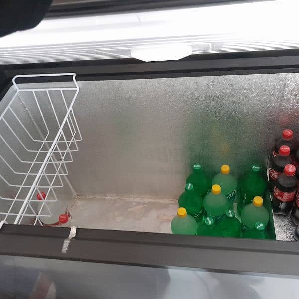 D Freezer 1