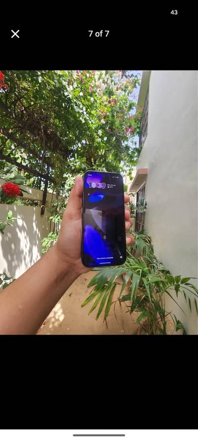 Google Pixel 9 pta approved ha
