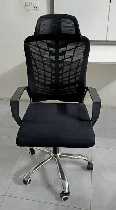 Mesh Back Chair (Home Used)