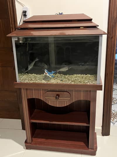Fish Aquarium