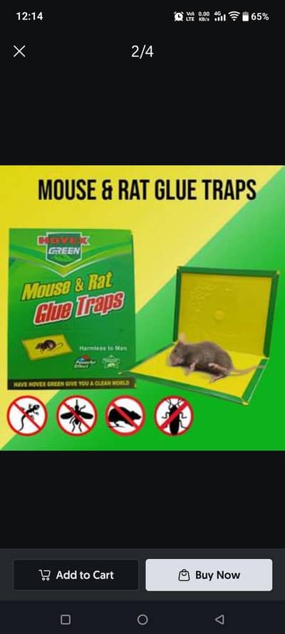 Expert catch mouse and rat glue catch trap