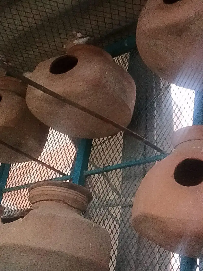 fawn jawa — photo 3