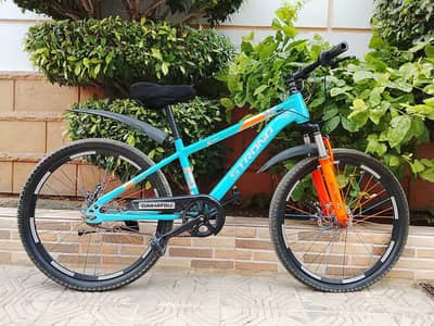 Strong Imported Cycle - 24 size - 0320/2257/271