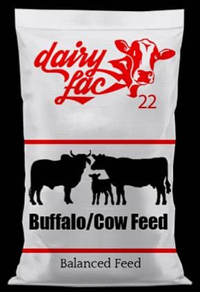 Dairy Lac Products Best Price Best Quality