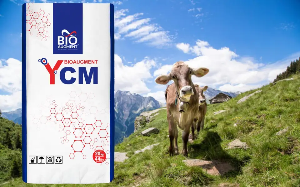 Dairy Lac Products Best Price Best Quality — photo 2
