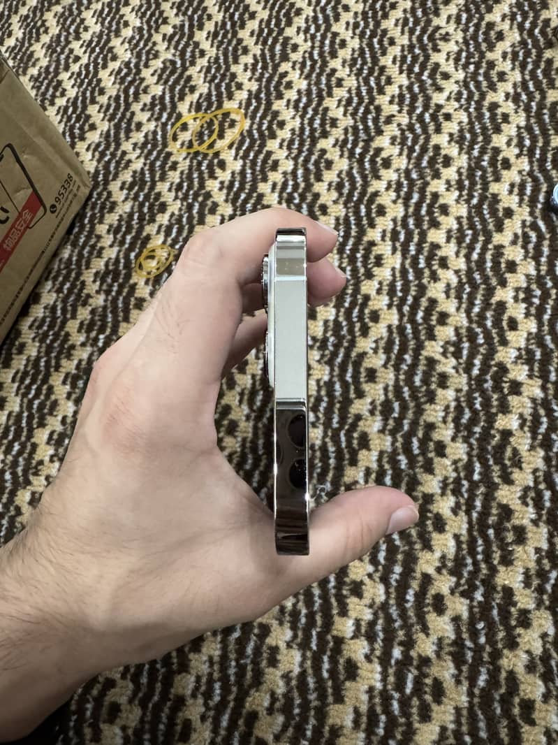 Apple iPhone 13 Pro Max 10