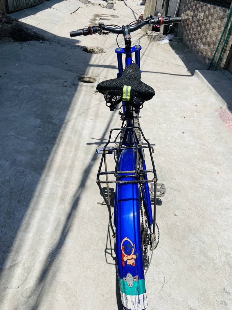Cycle 3