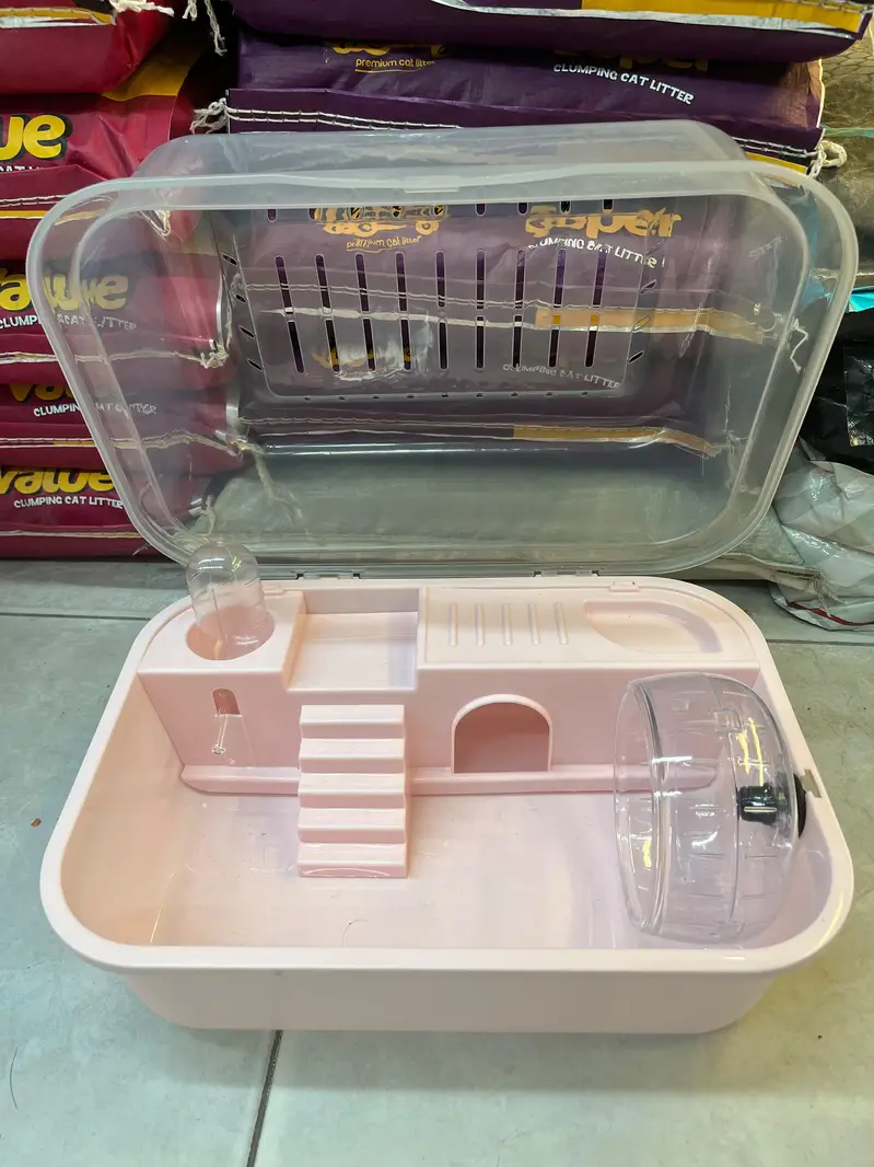 hamster and hamster house available — photo 6