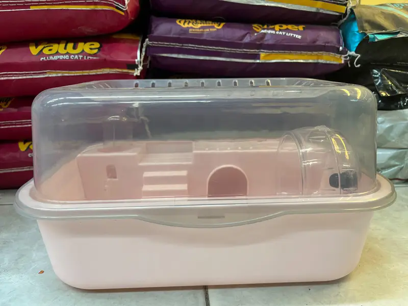 hamster and hamster house available — photo 7