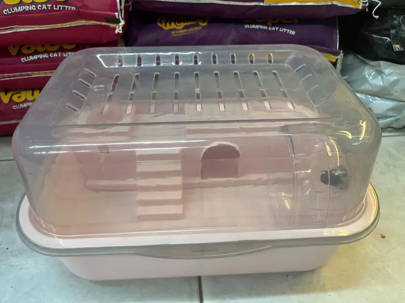 hamster and hamster house available — photo 8