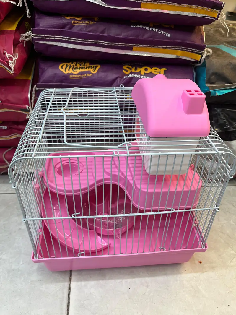 hamster and hamster house available — photo 9
