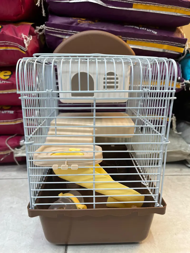 hamster and hamster house available — photo 11