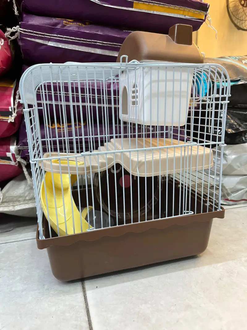 hamster and hamster house available — photo 12