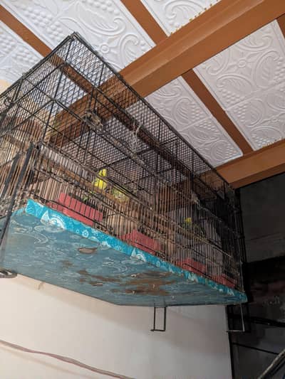 2 portion cage condition 10/9 try thori kharb hay