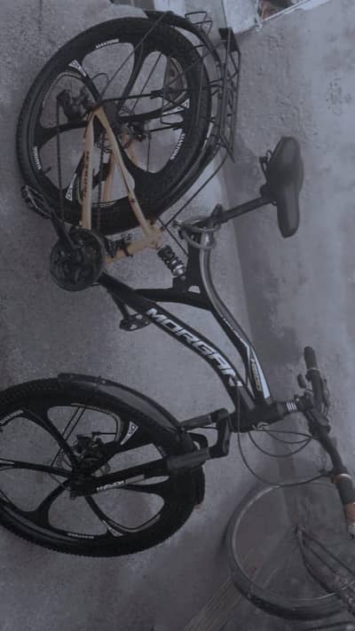 mountain bicycle