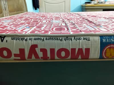 Molty Foam