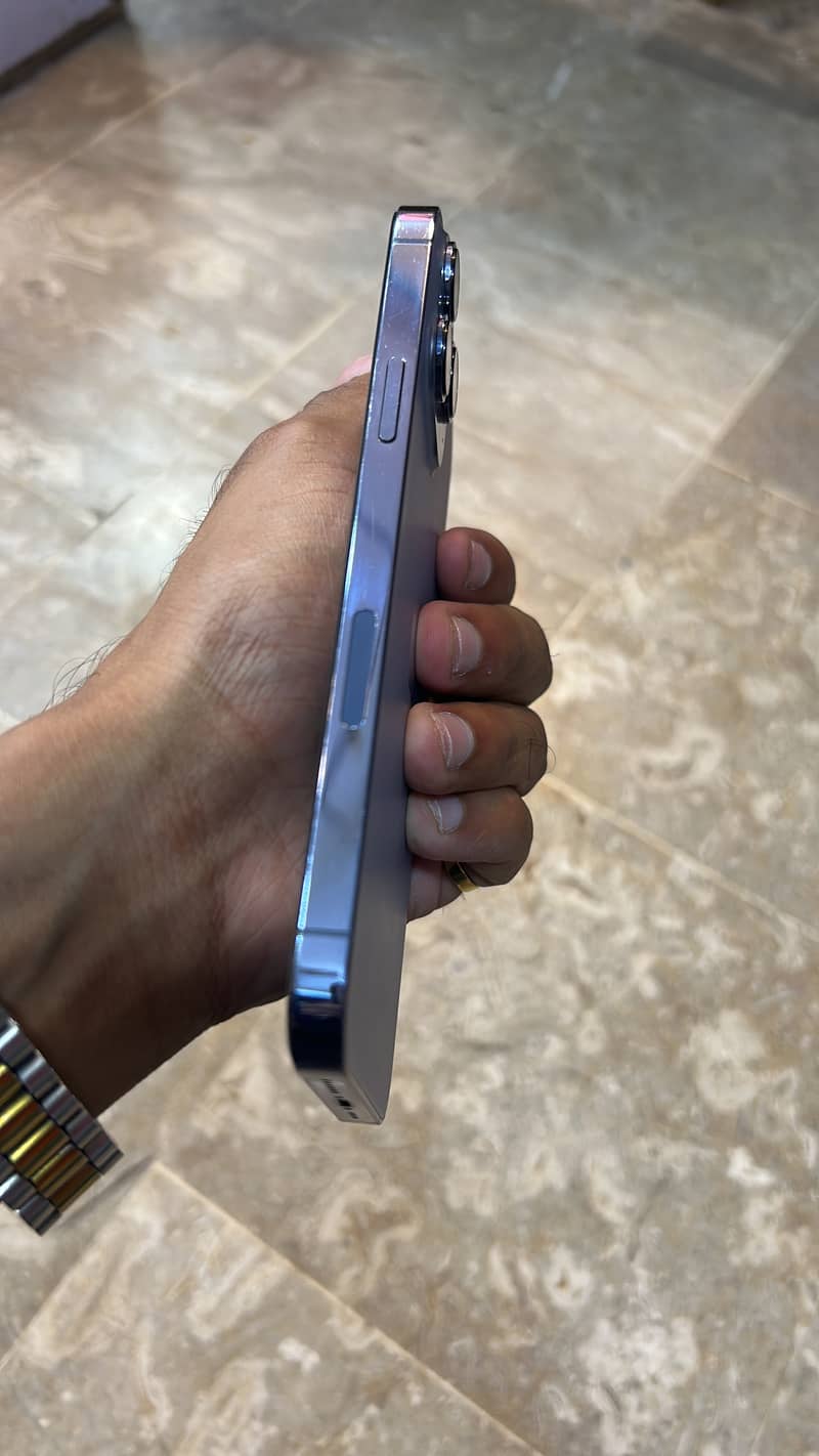 Apple iPhone 13 Pro Max 1
