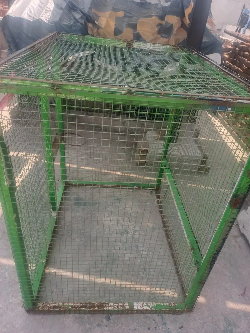 5*5*5 foot cage — photo 2