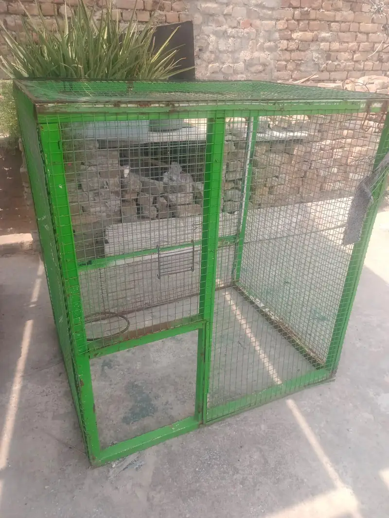 5*5*5 foot cage — photo 3