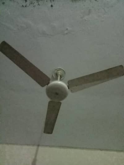 FAN sahi