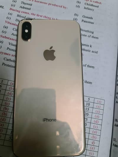 Apple iPhone XS Max