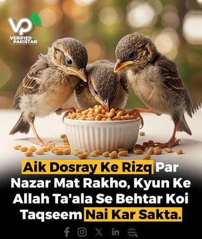 Salesman chahiye for E-Commerce