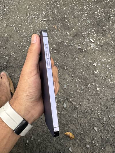 iPhone 14 Pro Max PTA Approved