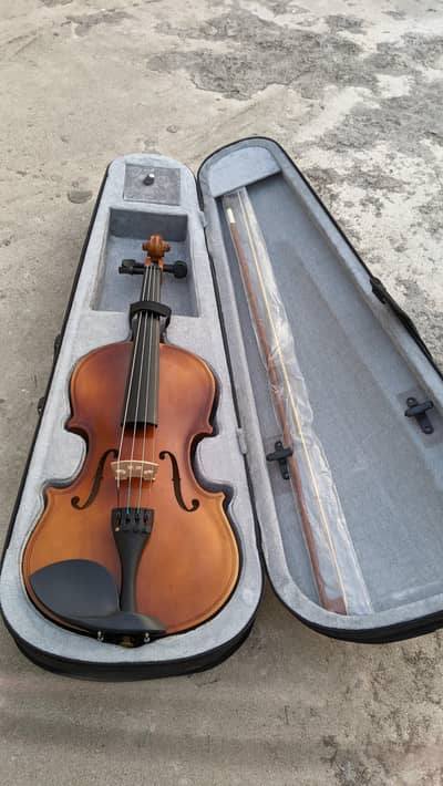 Professional violin 4/4 full size New Violin high quality wood violin