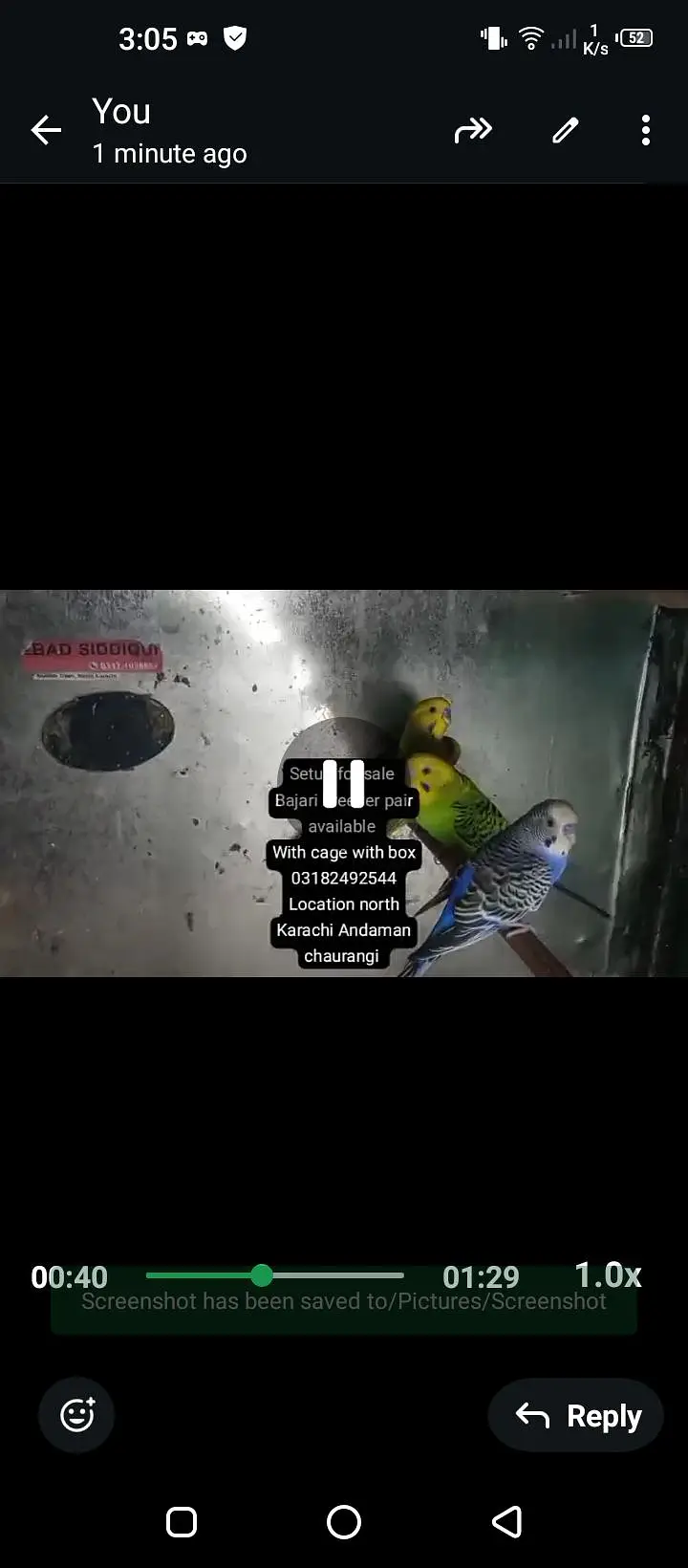 setup for sale colony with cage all birds breeder available 16/7/26 — photo 4