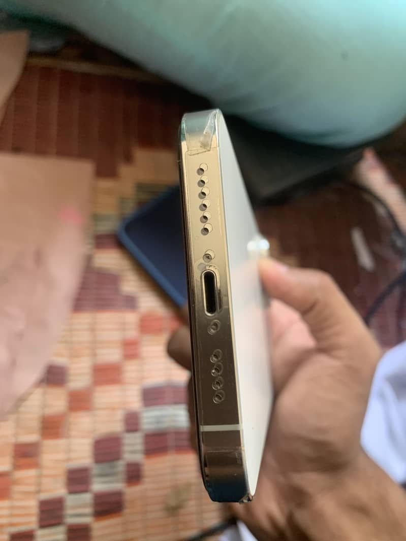 Apple iPhone 13 Pro Max 2